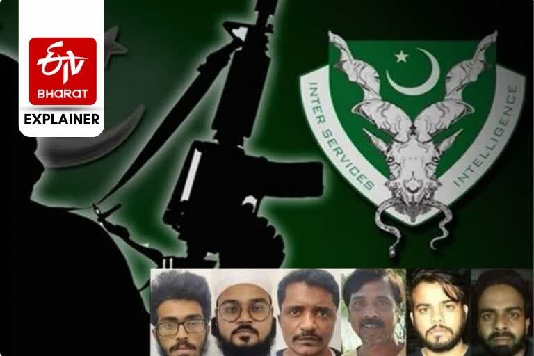 Pak-organised terror module