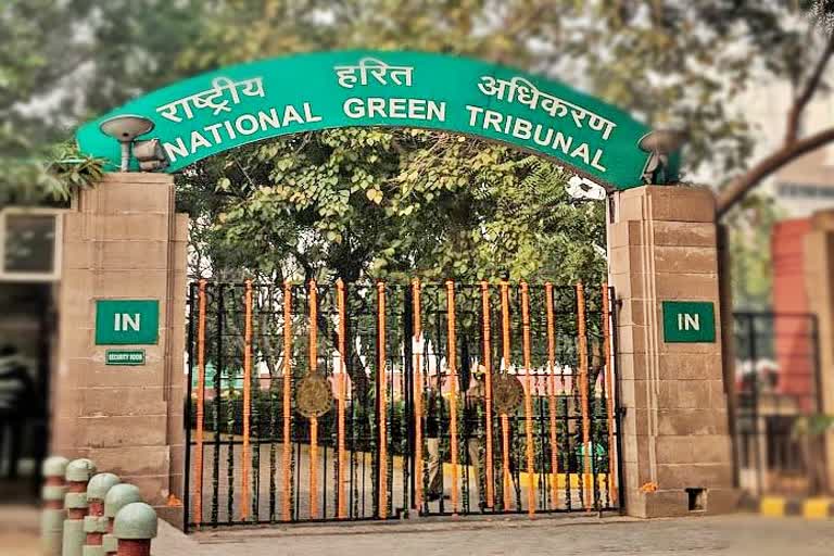 national-green-tribunal