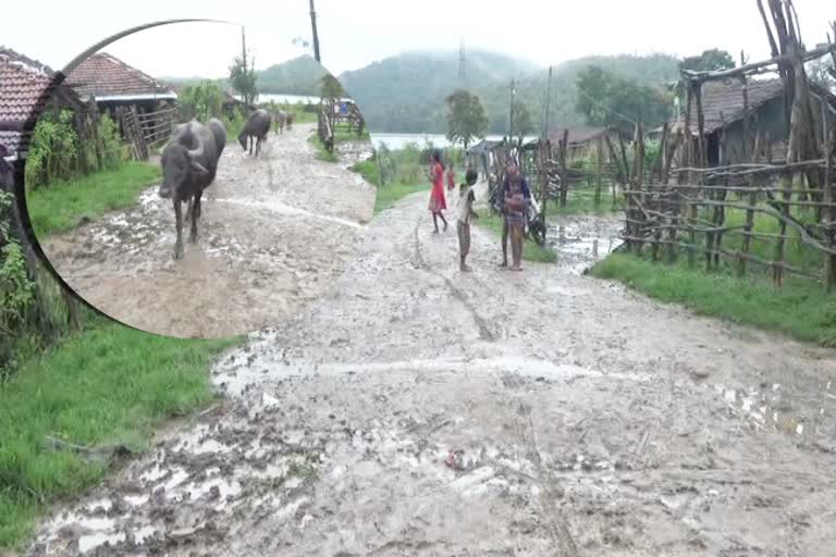 village-of-cm-bommai-constituency-moans-from-lack-of-infrastructure