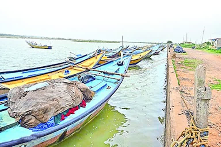 srikakulam-bhavanapadu-port-tenders-for-judicial-review