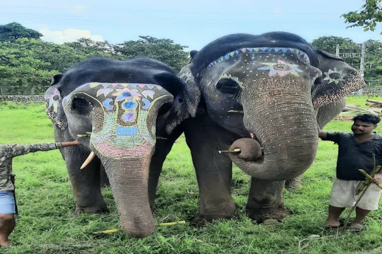 মাহুতের সঙ্গে দুই বোন লক্ষ্মী আর উর্মিলা