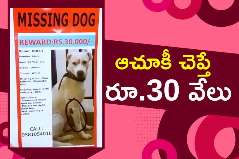 30 thousand rupees reward for finding pet dog in hyderabad