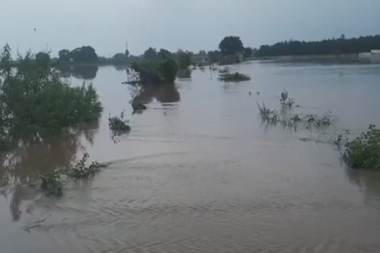 kujanga and tirtol block affected in mahanadi flood water