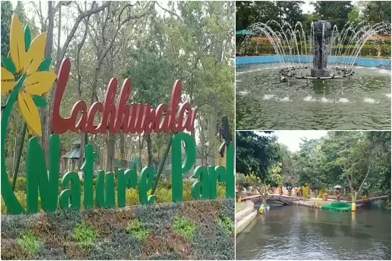 Lachhiwala Nature Park Ticket Fee