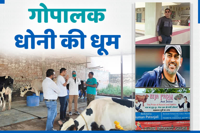 Dhoni dairy produces 500 liters of milk daily