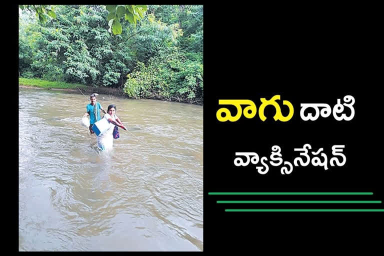 వ్యాక్సినేషన్ కోసం వాగు దాటిన ఏఎన్ఎం