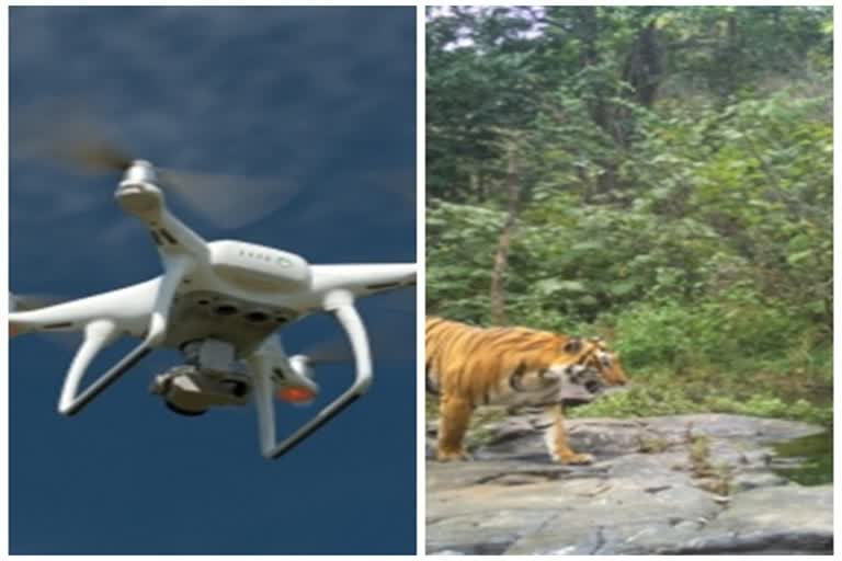 Drone technology being used in MP for wildlife conservation