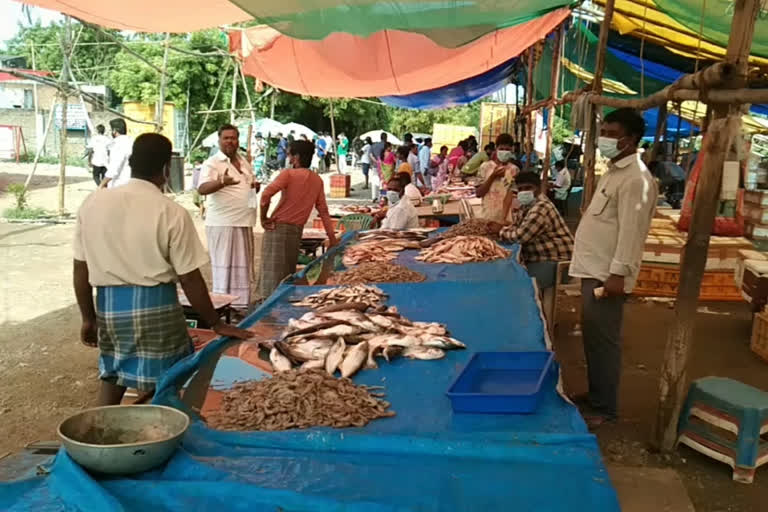 fish market rate in kanchipuram