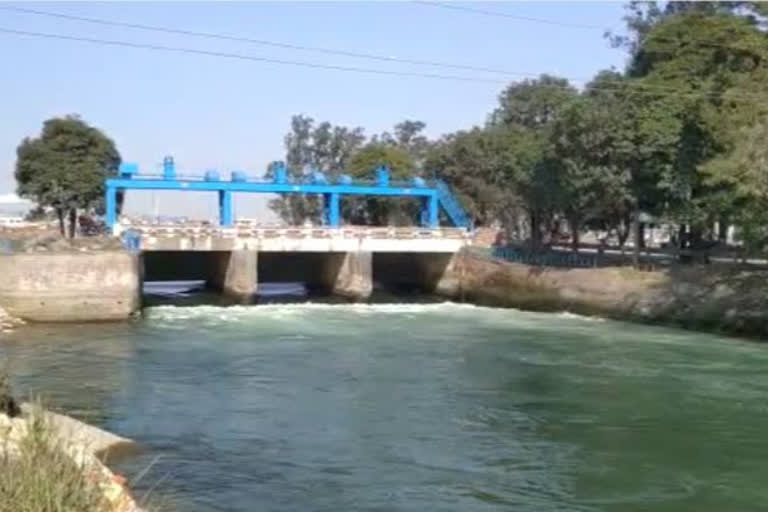 yamunanagar canal people drowned