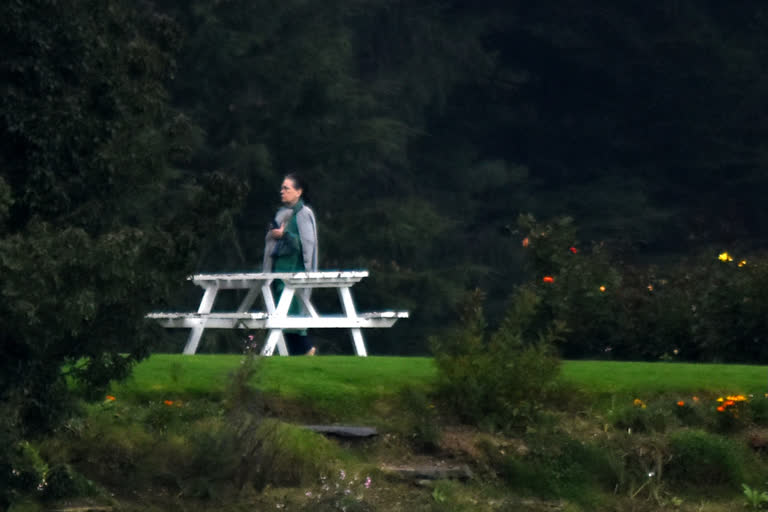 Sonia Gandhi and Priyanka enjoy the weather in shimla