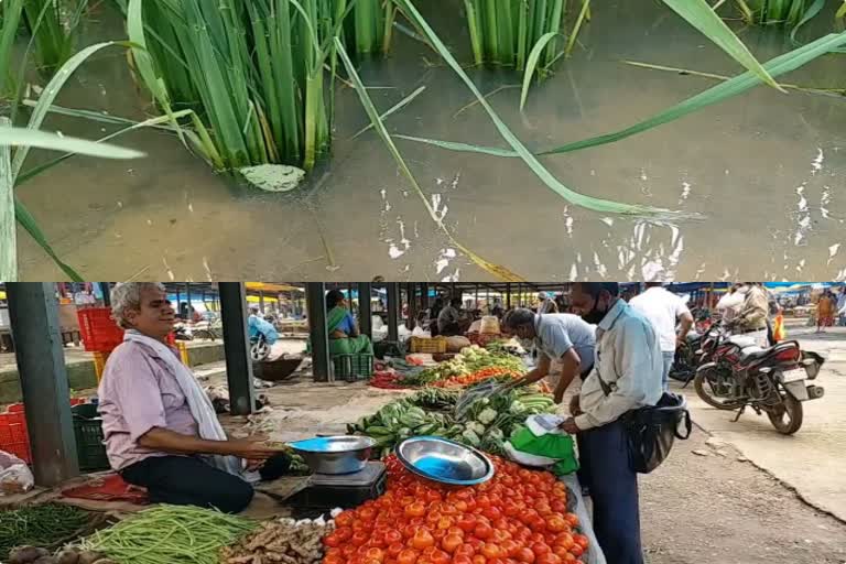 The price of vegetables increased due to freezing of water in the fields