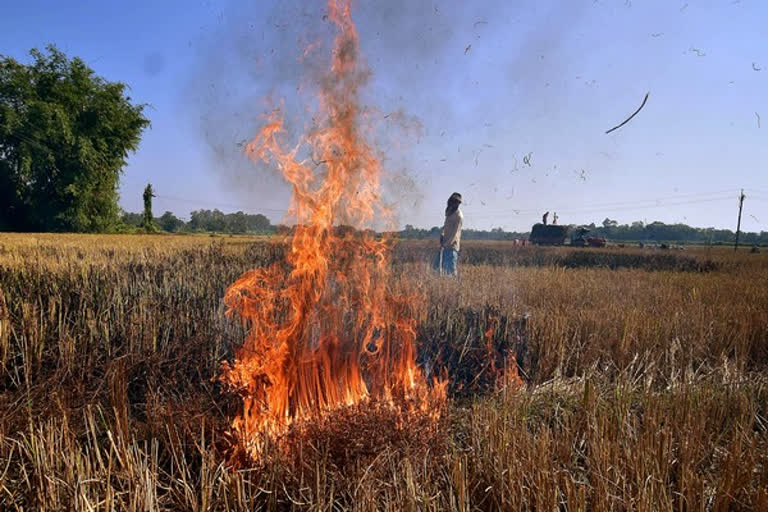 Stable Burning