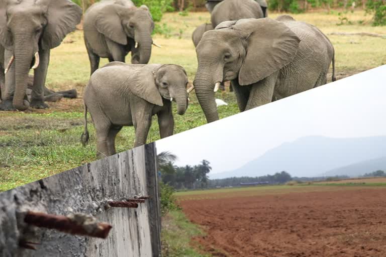 இரும்பு கம்பிகளை அகற்ற நடவடிக்கை எடுக்க வேண்டும்