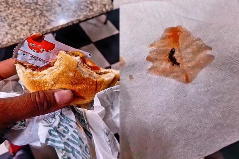 बर्गर में जहरीला कीड़ा, venomous worm in burger