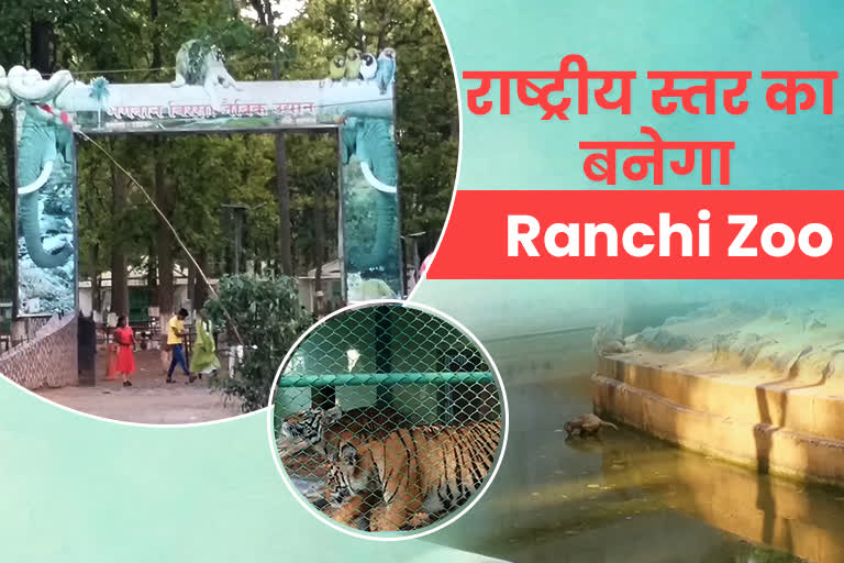birsa-biological-park-of-ranchi-including-soon-in-top-ten-zoos-of-india