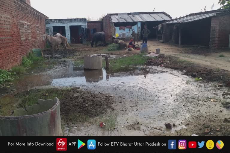 मिला डेंगू का लारवा तो प्रशासन करेगी सख्त कार्रवाई