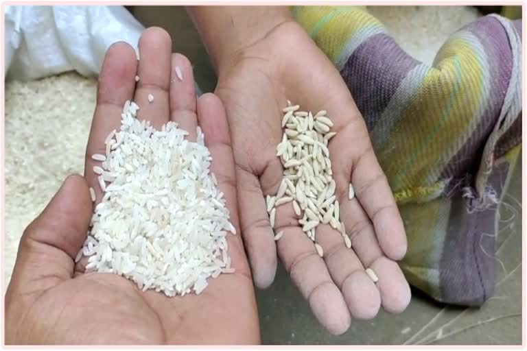 Plastic rice in janiyat midday meal rice