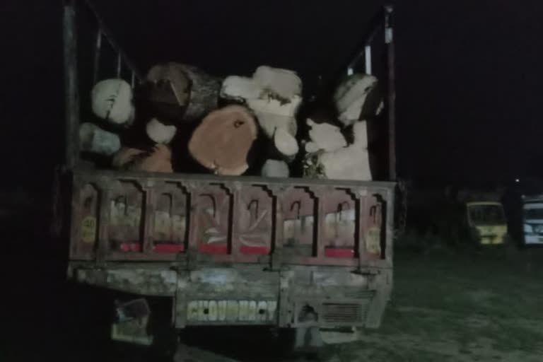 wood smuggling in rajasthan