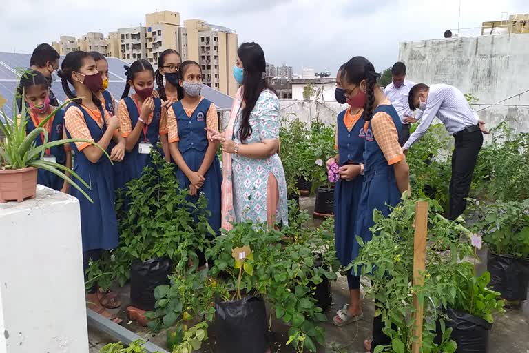 હવેથી સ્કૂલના વિદ્યાર્થીઓ પણ પોતાના ઘરે આર્ગોનિક ખેતી કરશે