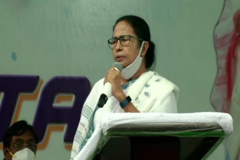 Mamata