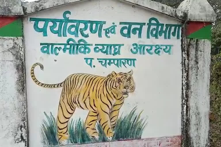 गैंडे का शव मिला