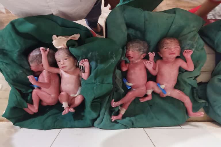 four healthy children at the same time In Rajula