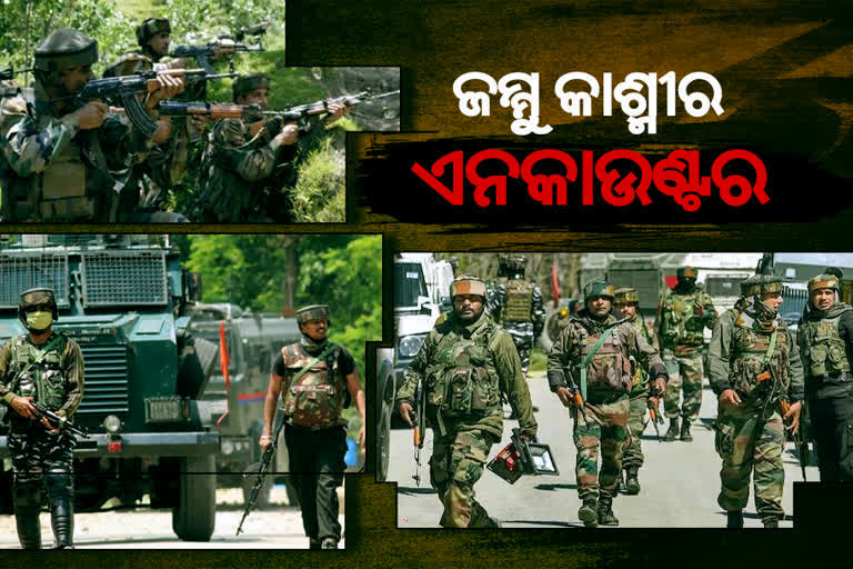 Shopian Encounter ; ଜଣେ ଆତଙ୍କୀ ନିପାତ, ସର୍ଚ୍ଚ ଅପରେସନ ଜାରି