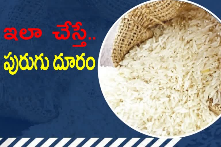 Keep bugs away from rice
