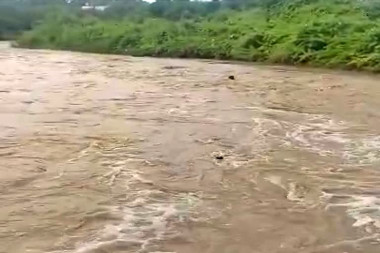 man-washed-away-in-doni-river-at-talikote