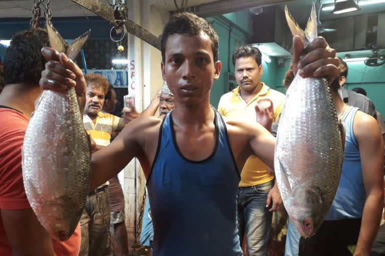 bangladesh government sent hilsa fish via petrapole and benapole border