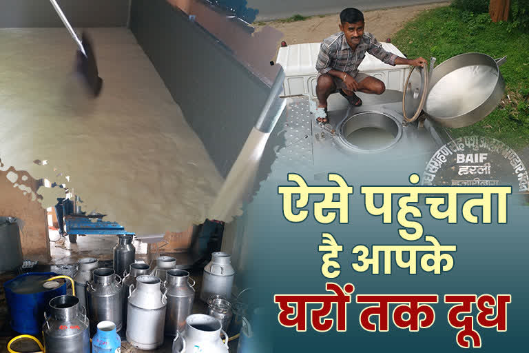 process of milk from milkman to your house