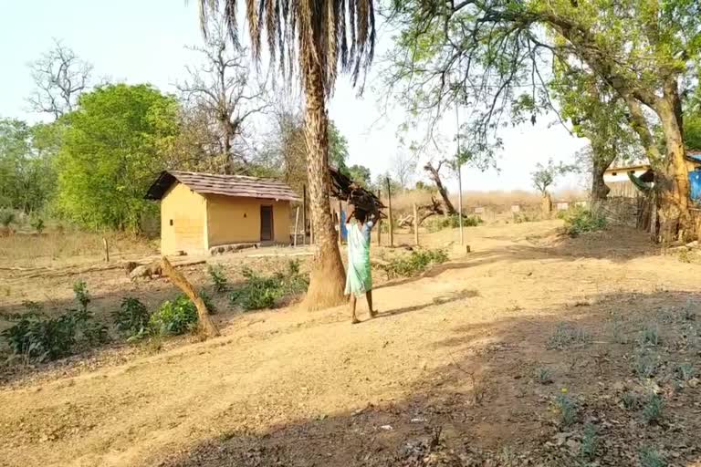Darkness in many villages shadowed by Naxalism in Bastar