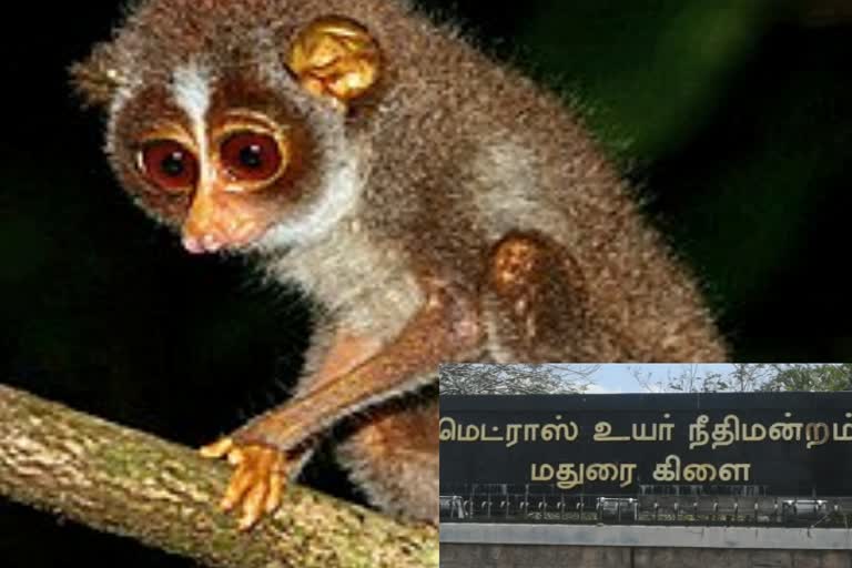 தமிழ்நாடு அரசு பதிலளிக்க உத்தரவு