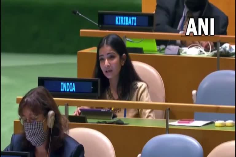 India says in UNGA