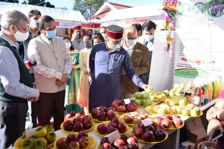 Health Minister Dr. Rajiv Saizal on doctors not joining in Chamba Medical College