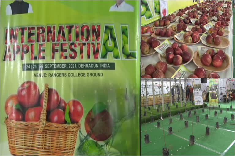 International Apple Festival Dehradun