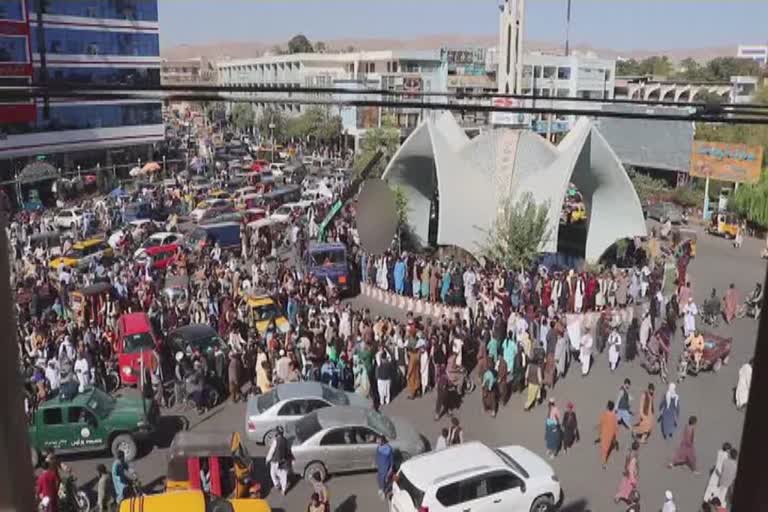 taliban hang body in Herat