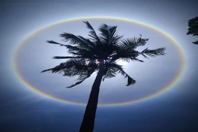 kumuta-public-witness-for-halo-ring-sun