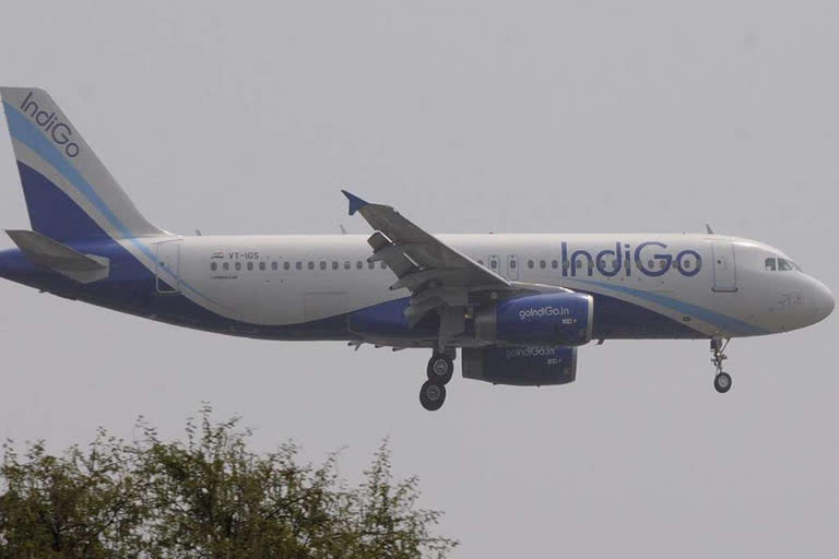 indigo plane