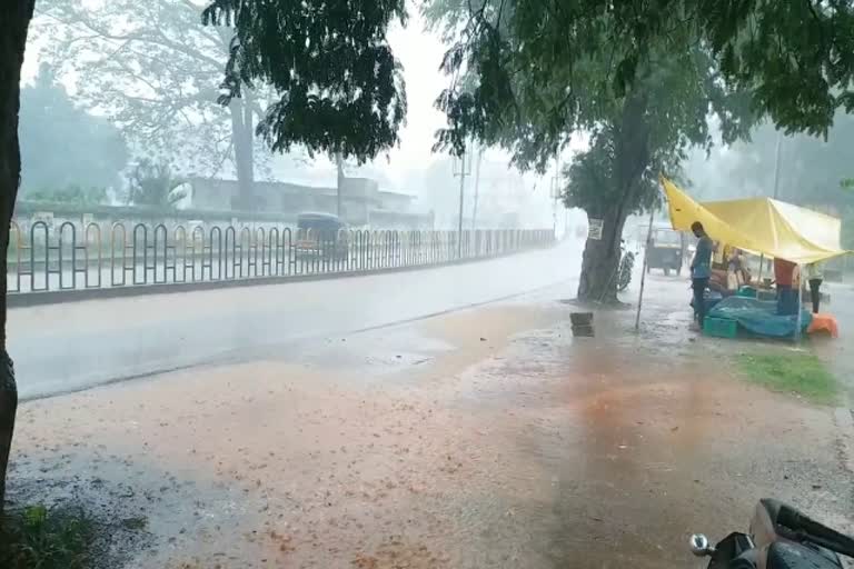effect-of-gulab-cyclone-in-bastar-rain-with-strong-winds-in-bastar-rain-in-jagdalpur-effect-of-gulab-cyclone-in-chhattisgarh
