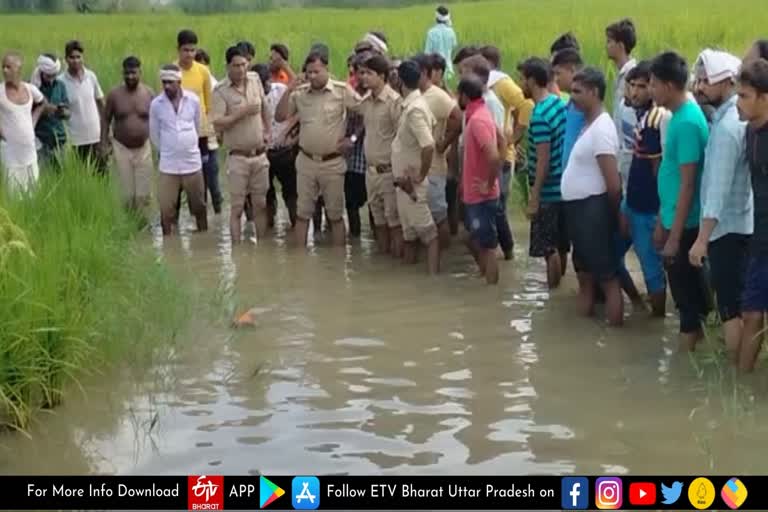 धान के खेत में मिला पांच साल की बच्ची का शव