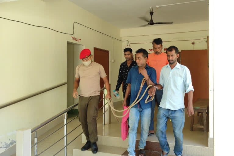 Teer, IPL Gamblers Arrested