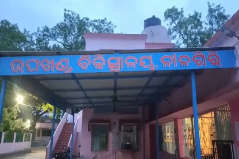 ଭାଲୁ ଆକ୍ରମଣରେ ଦୁଇ ବୃଦ୍ଧ ଗୁରୁତର