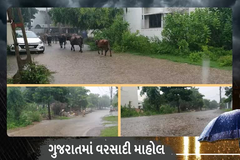 સિઝનનો કુલ 84 ટકા વરસાદ તો 4 તાલુકામાં 100 ટકા કરતા વધુ વરસાદ