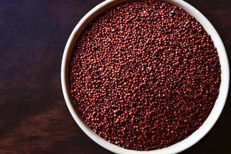 ragi