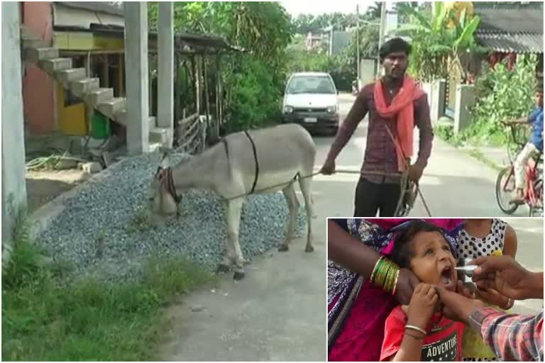 Lot of people are buying donkey milk in Chikkamagaluru