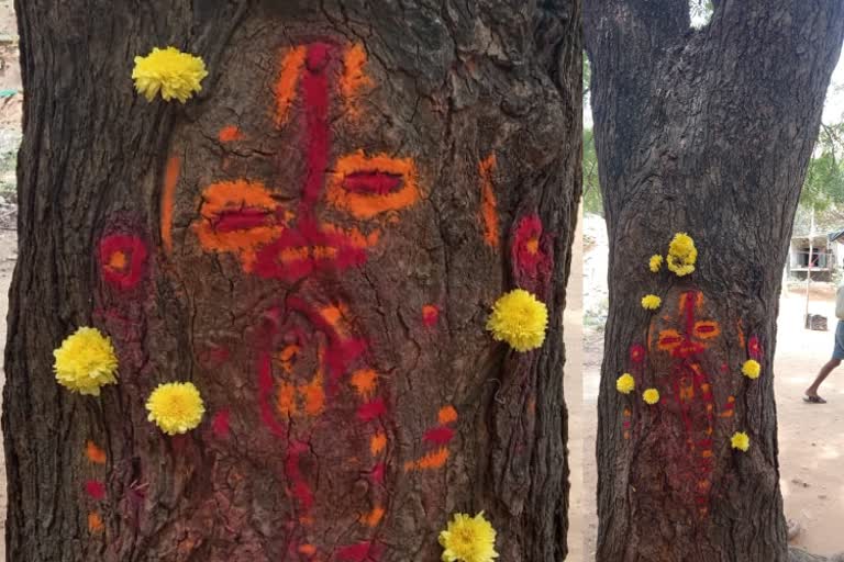 Lord ganesha idol found in a neem tree