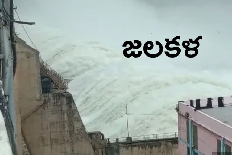 sriram sagar project water level, heavy flood to sri ram sagar project