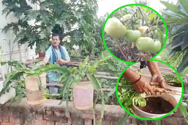 police-constable-who-grows-vegetables-on-his-house-terrace
