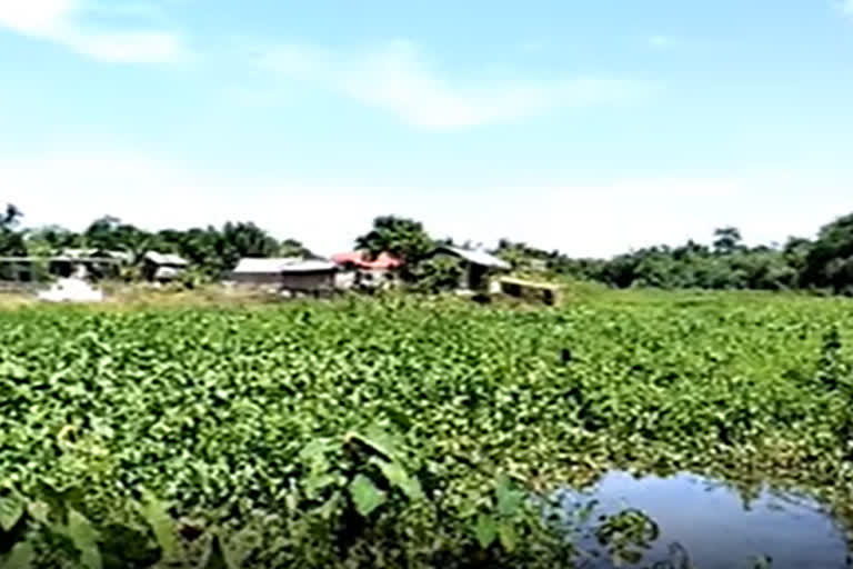 Govt land encroachment at Narayanpur